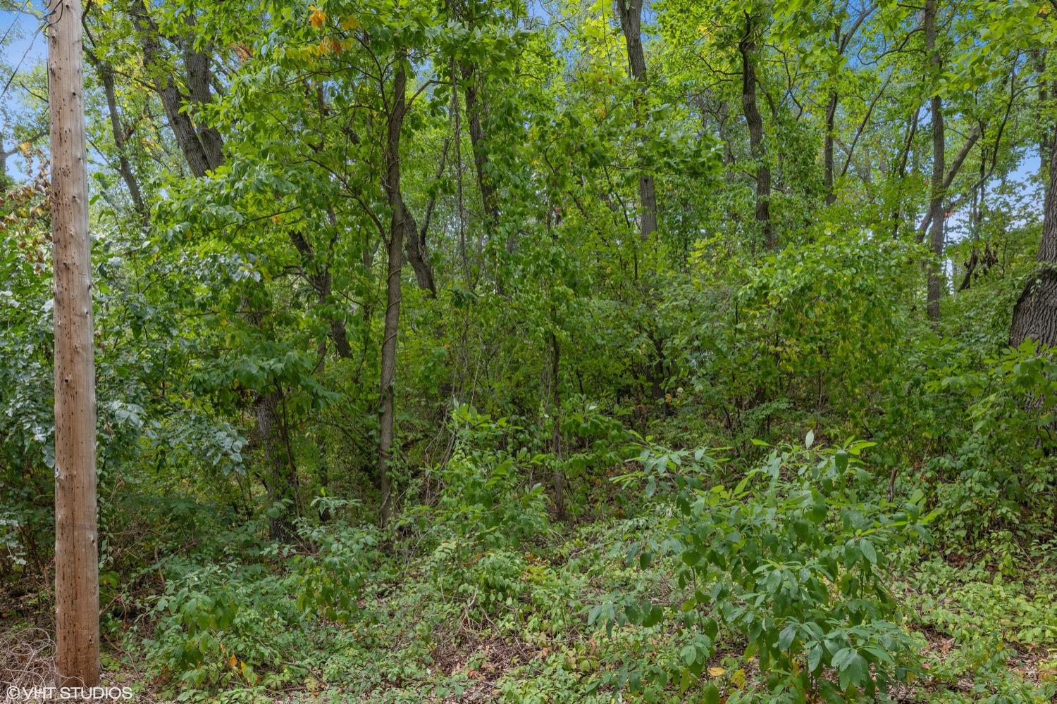 0 Roskin Road Porter, IN 46304 - Photo 7 of 14 a view of a lush green forest