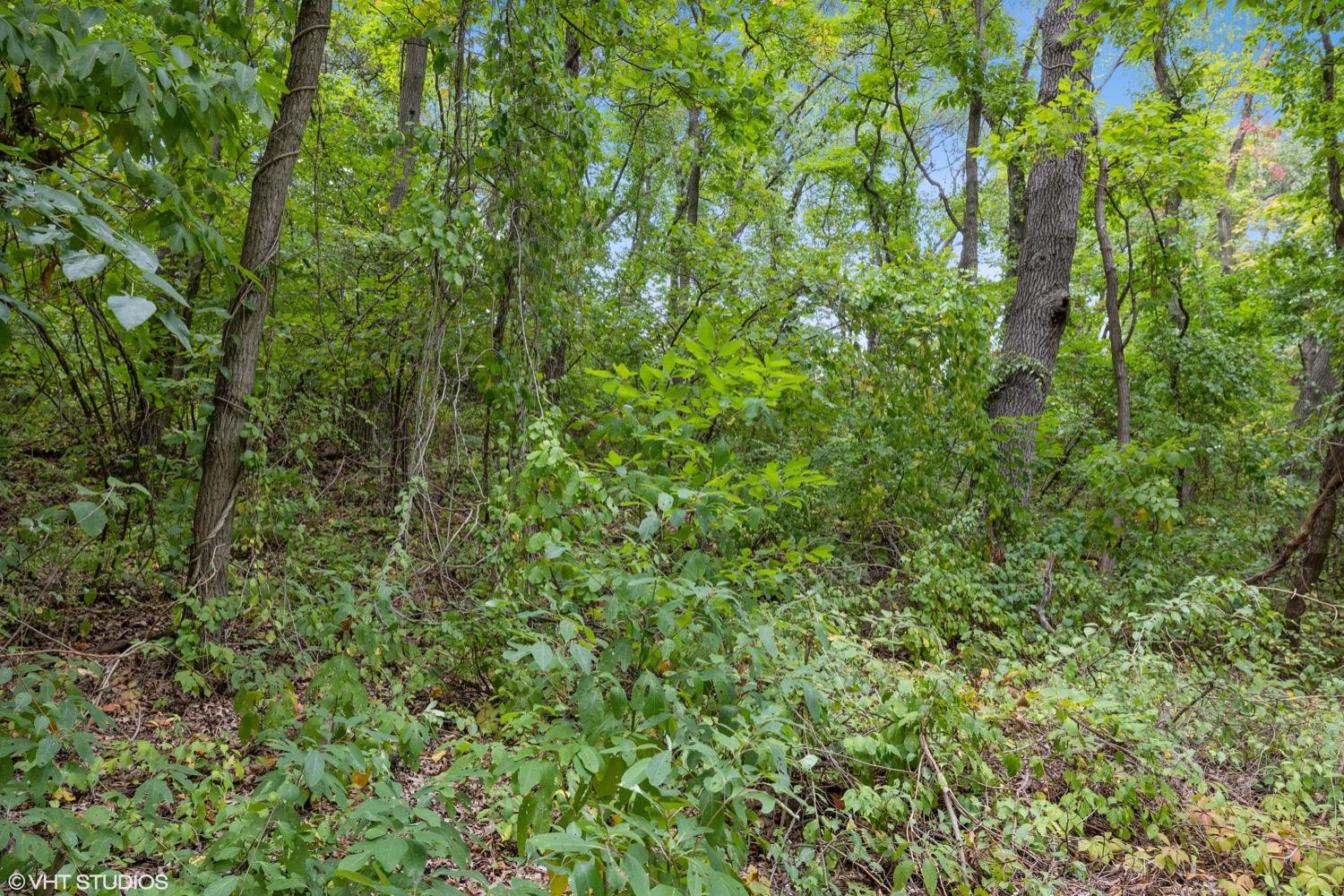 0 Roskin Road Porter, IN 46304 - Photo 8 of 14 a view of a lush green forest