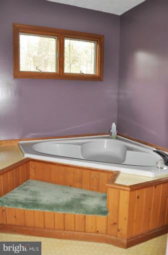 140 Holiday Road Cross Junction, VA 22625 - Photo 19 of 30 a bathroom with a bathtub and a sink