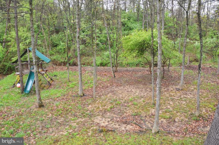 140 Holiday Road Cross Junction, VA 22625 - Photo 6 of 30 a view of a yard with a tree