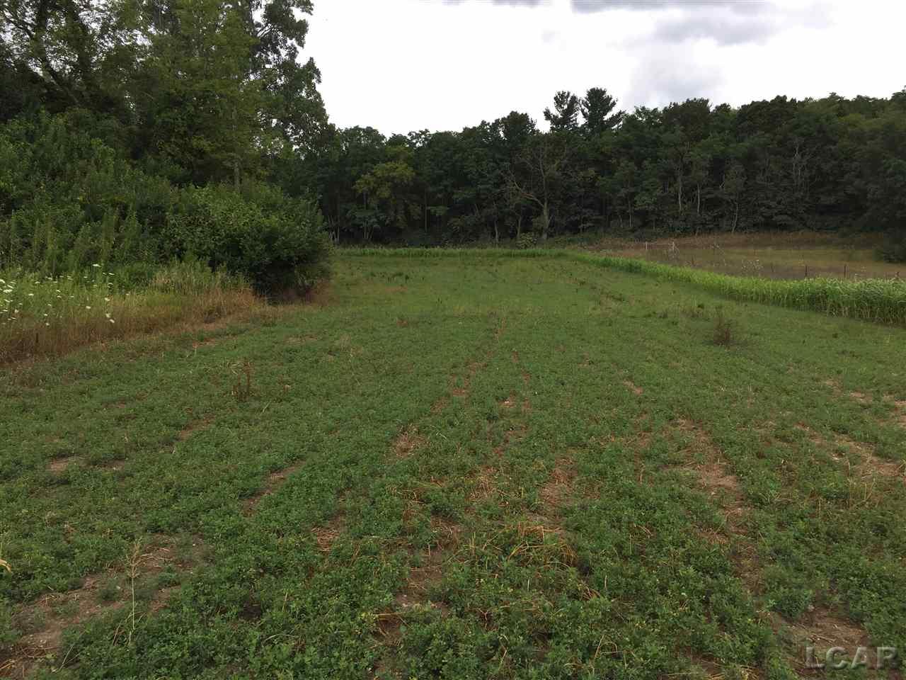 Vac East Blue Ridge Road Napoleon, MI 49261 - Photo 2 of 32