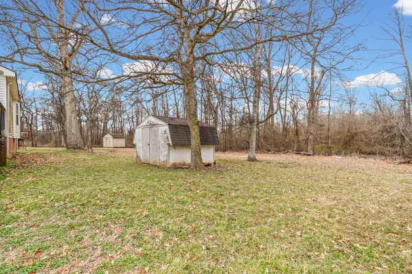 a backyard of a house with large trees and outdoor space