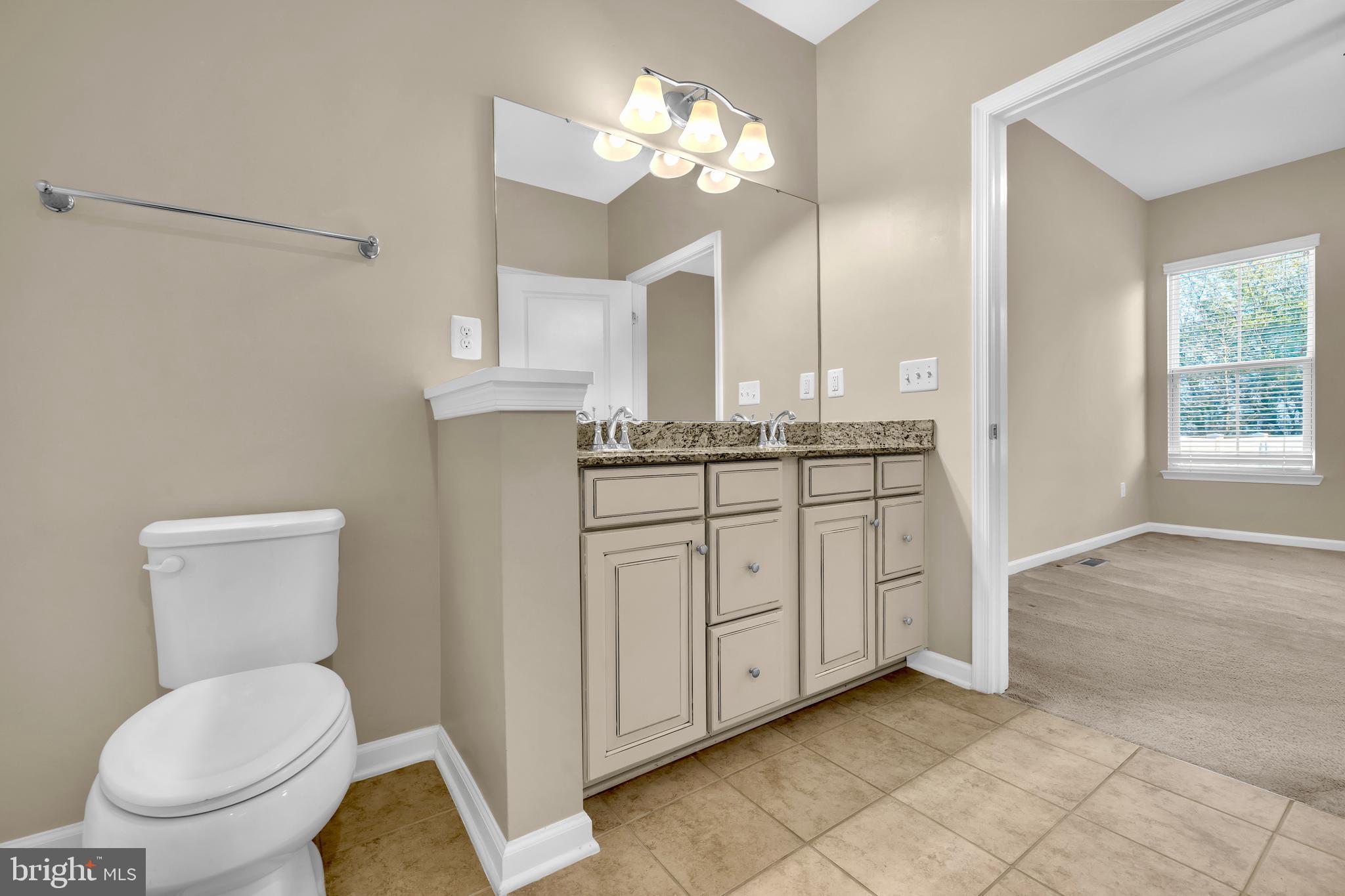 41663 McMonagle Square Aldie, VA 20105 - Photo 24 of 50 a bathroom with a toilet a sink and a mirror