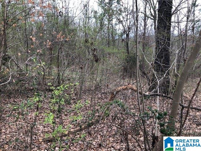 6616 Folsom Road, Unit 1 McCalla, AL 35111 - Photo 2 of 4