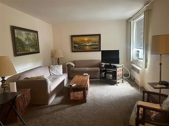 $225,000 | 2241 Plumb 1st Street, Unit 6N | Sheepshead Bay