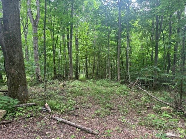 0 Sugar Lf Mountain Road Marshall, NC 28753 - Photo 2 of 5