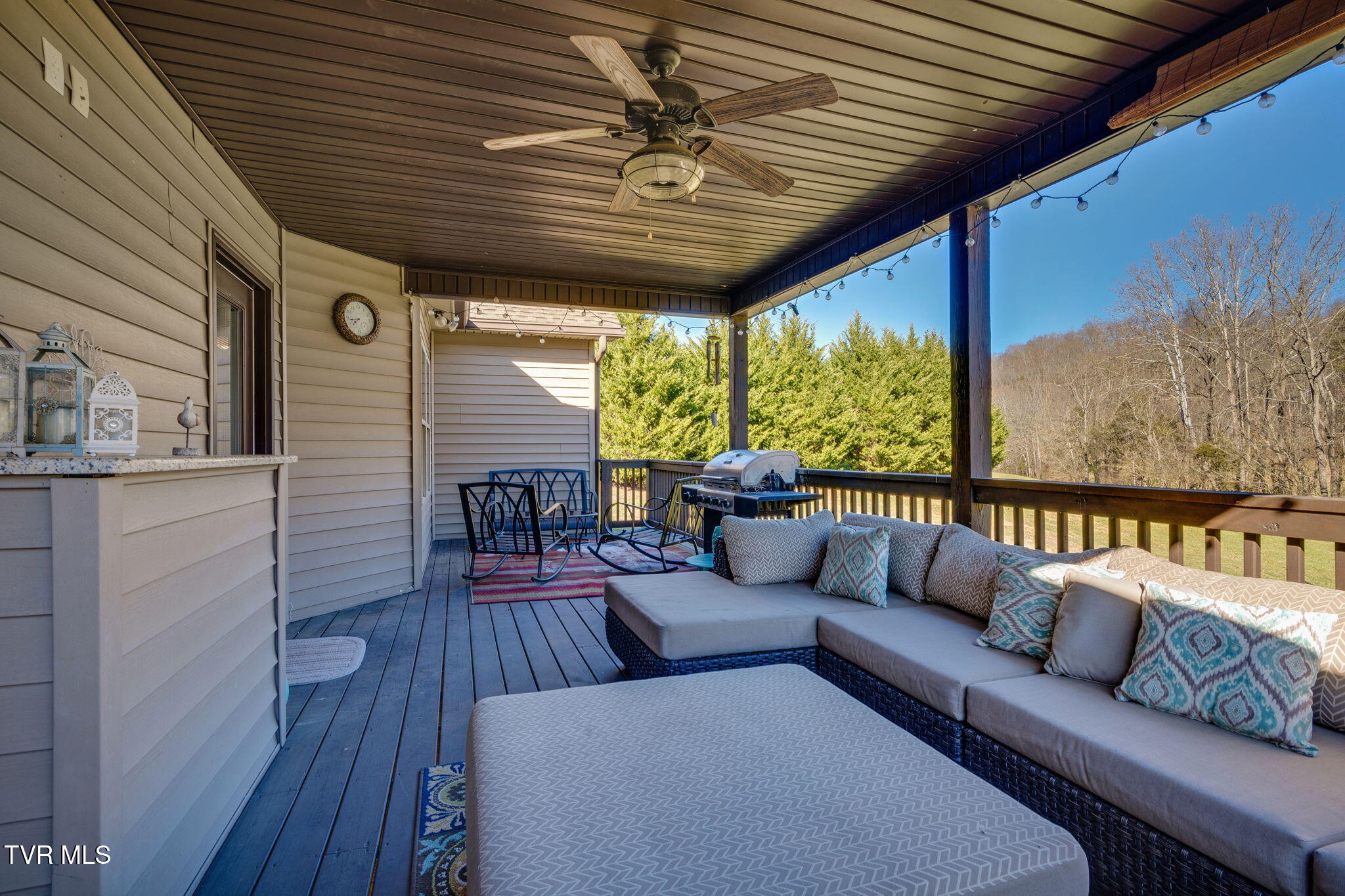 463 Free Hill Road Gray, TN 37615 - Photo 40 of 49 036