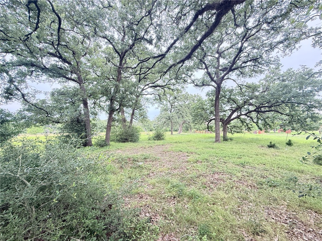 Tbd Wannabe Road Bryan, TX 77808 - Photo 2 of 42