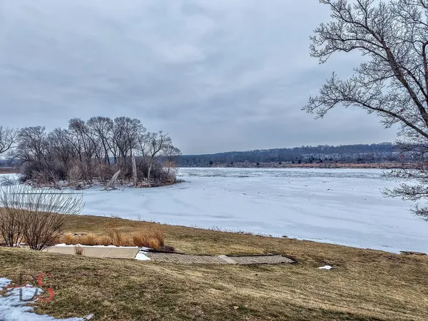 a view of a yard with an ocean