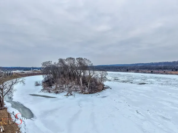 a view of a dry yard with wooden fence