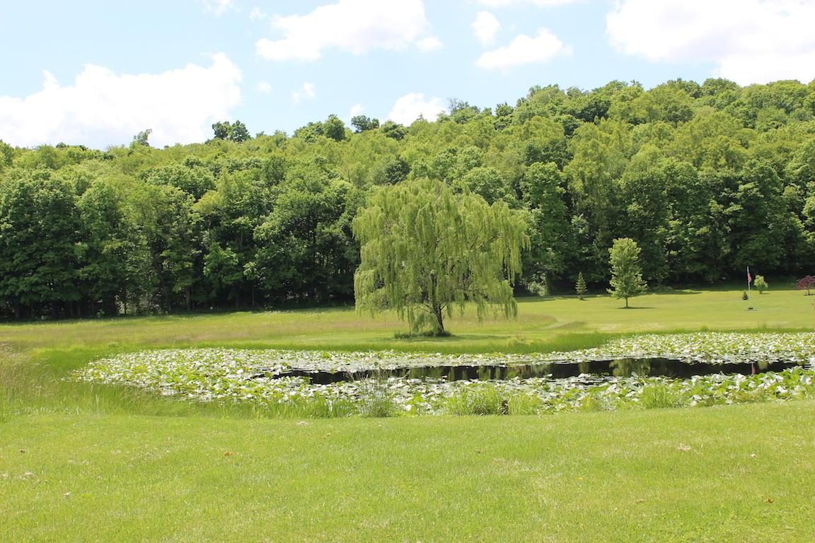 2086 Alma Omega Road Waverly, OH 45690 - Photo 31 of 47 Gallery Image 31