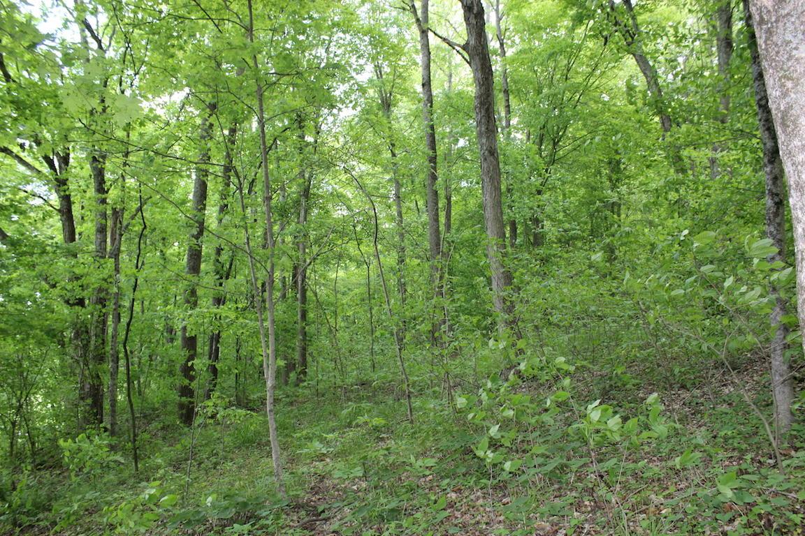 2086 Alma Omega Road Waverly, OH 45690 - Photo 35 of 47 Gallery Image 35