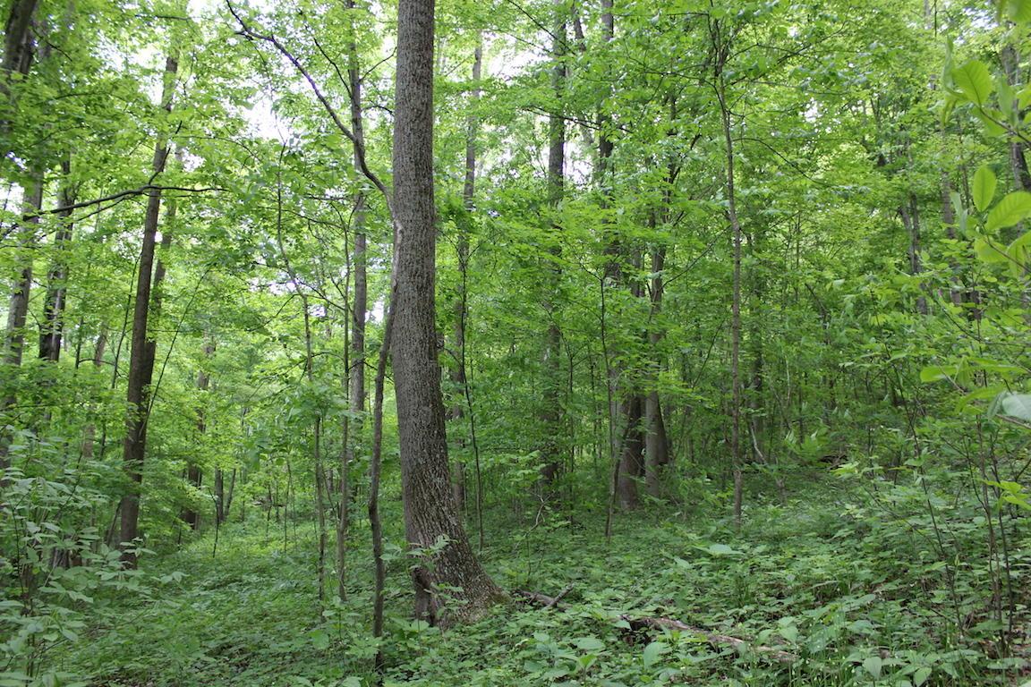 2086 Alma Omega Road Waverly, OH 45690 - Photo 36 of 47 Gallery Image 36