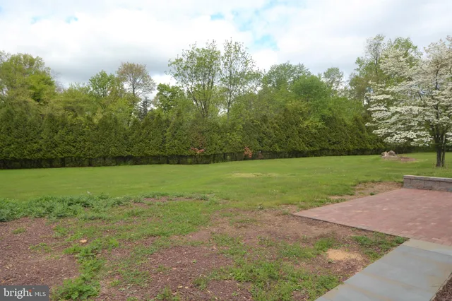 a view of a field of grass and trees