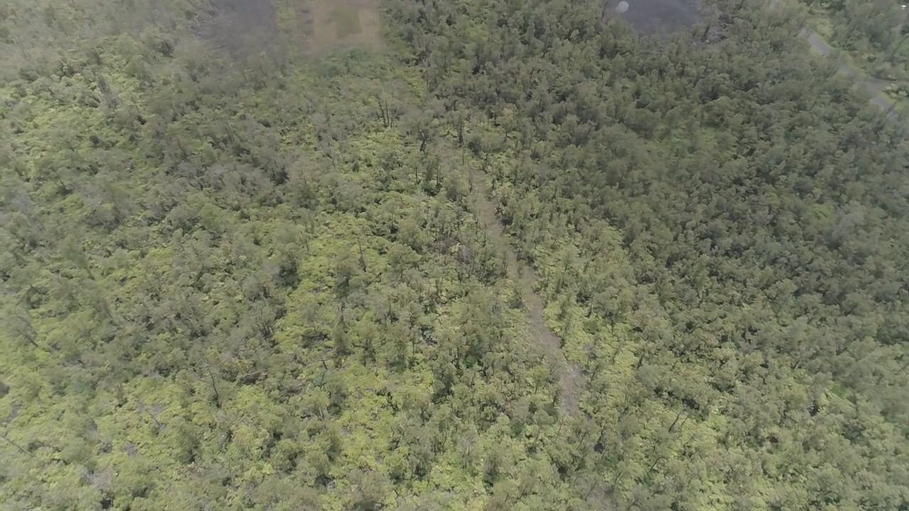 7448 Hibiscus Street Mountain View, HI 96771 - Photo 5 of 6 a close up of a wall with a sink