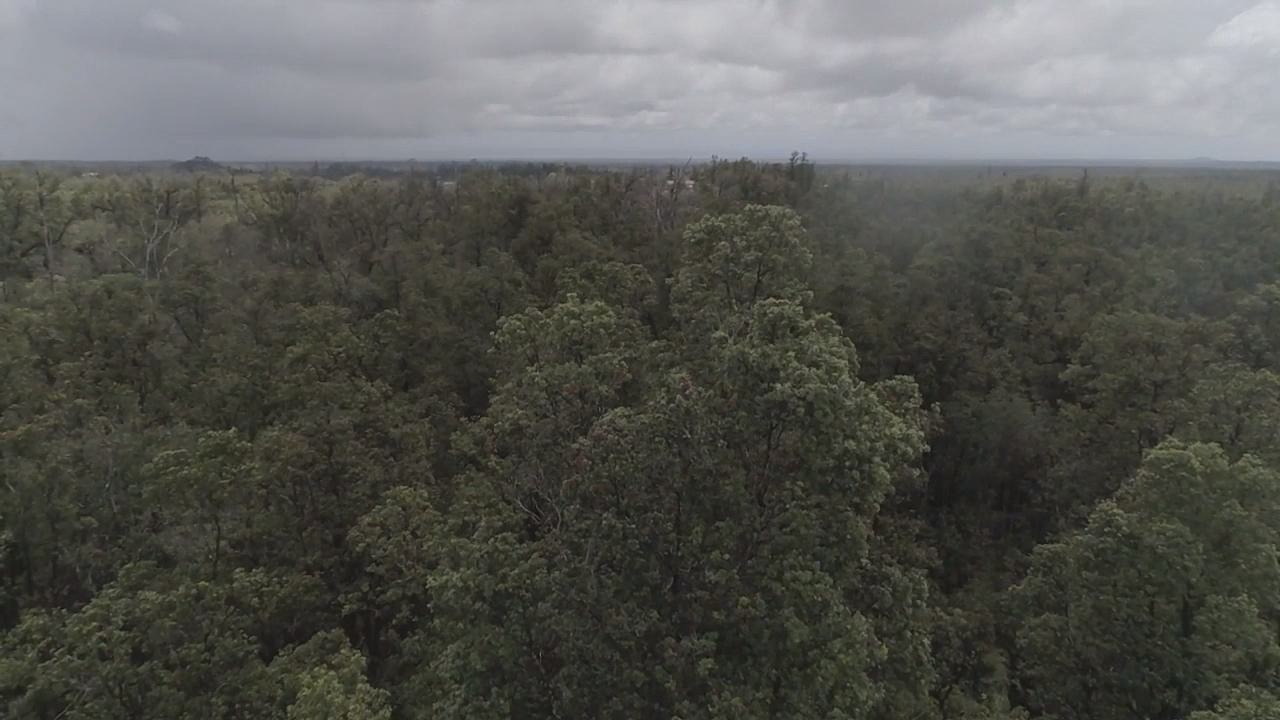 7448 Hibiscus Street Mountain View, HI 96771 - Photo 6 of 6 a view of a city and mountains