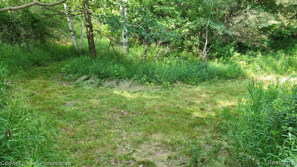 0 North Lapeer Road Columbiaville, MI 48421 - Photo 17 of 20