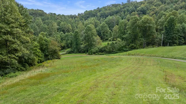 a view of a field with a trees in the background