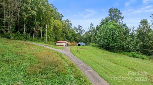 a green field with lots of trees in the background