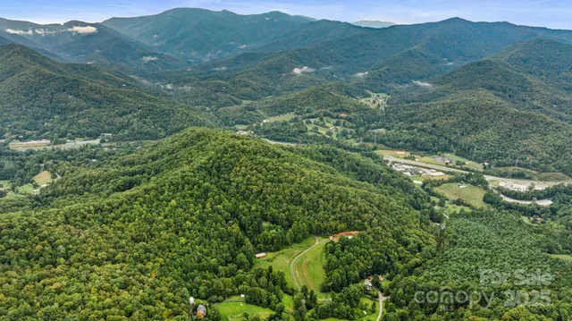 a view of a lush green hillside and houses