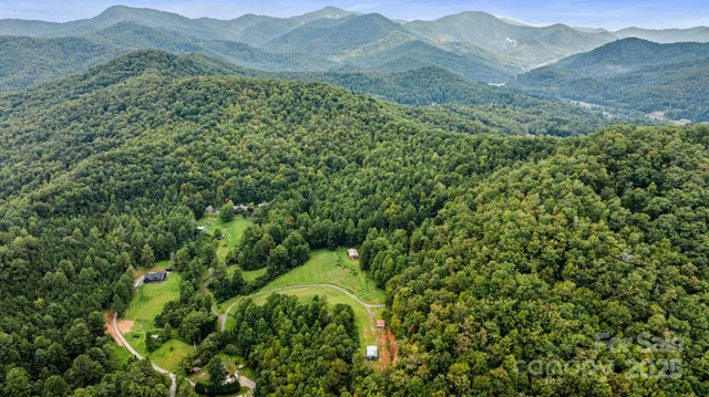 a view of a lush green hillside and a mountain
