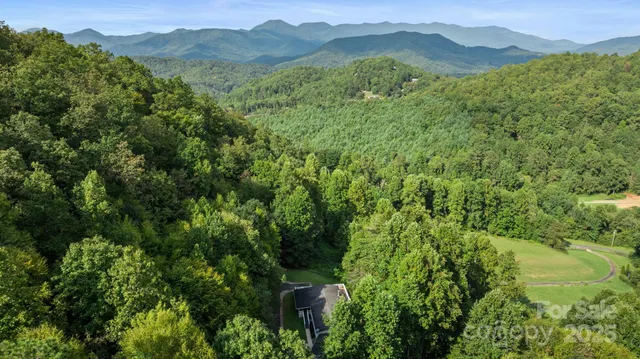 a view of a forest with a mountain
