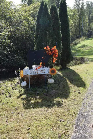 a backyard of a house with lots of green space