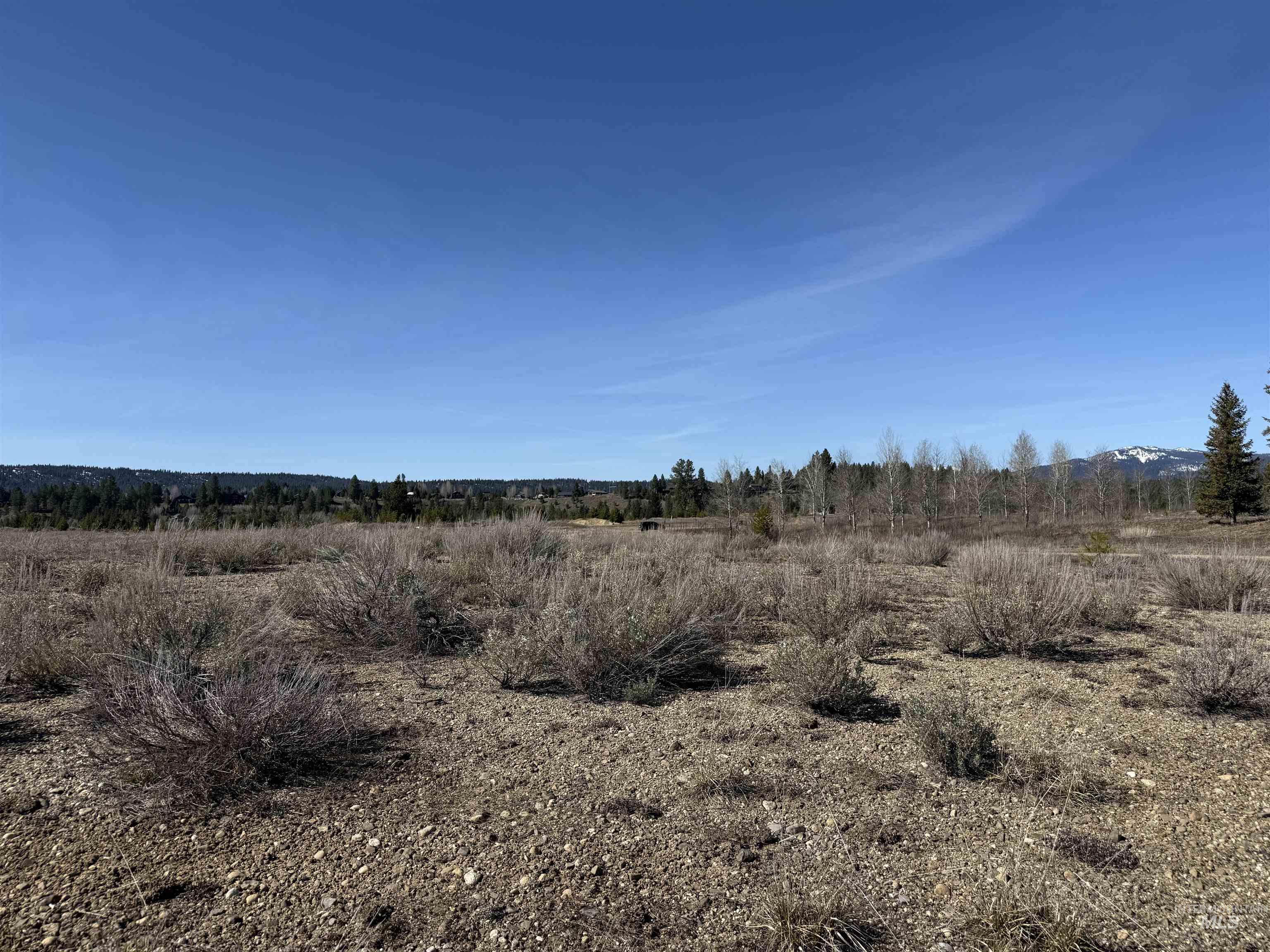 Tbd Lot 40 Tbd Loop McCall, ID 83638 - Photo 6 of 14 Looking northwest toward Payette River and Brundage Mountain.