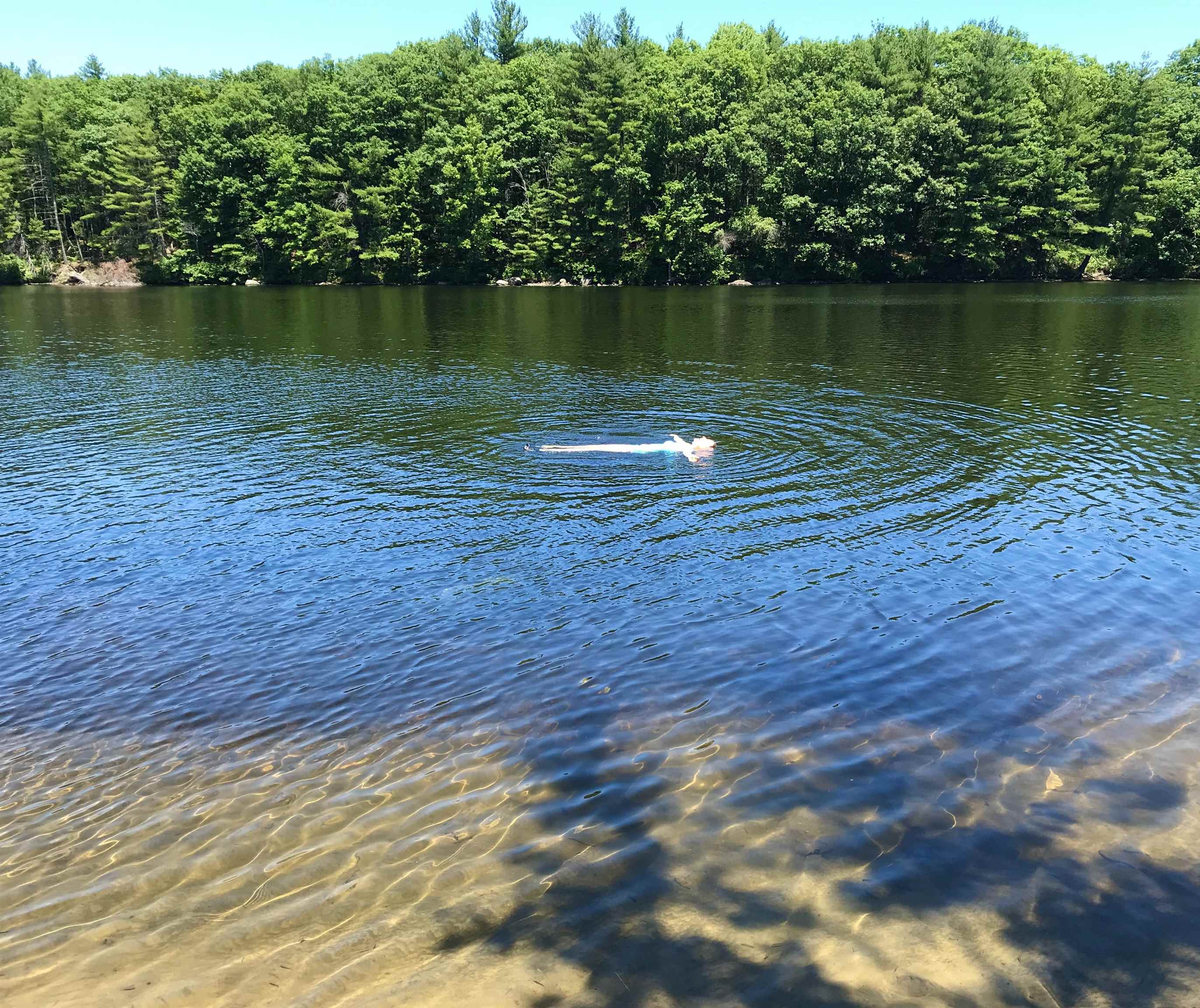 13 Ferry Road Bow, NH 03304 - Photo 23 of 27