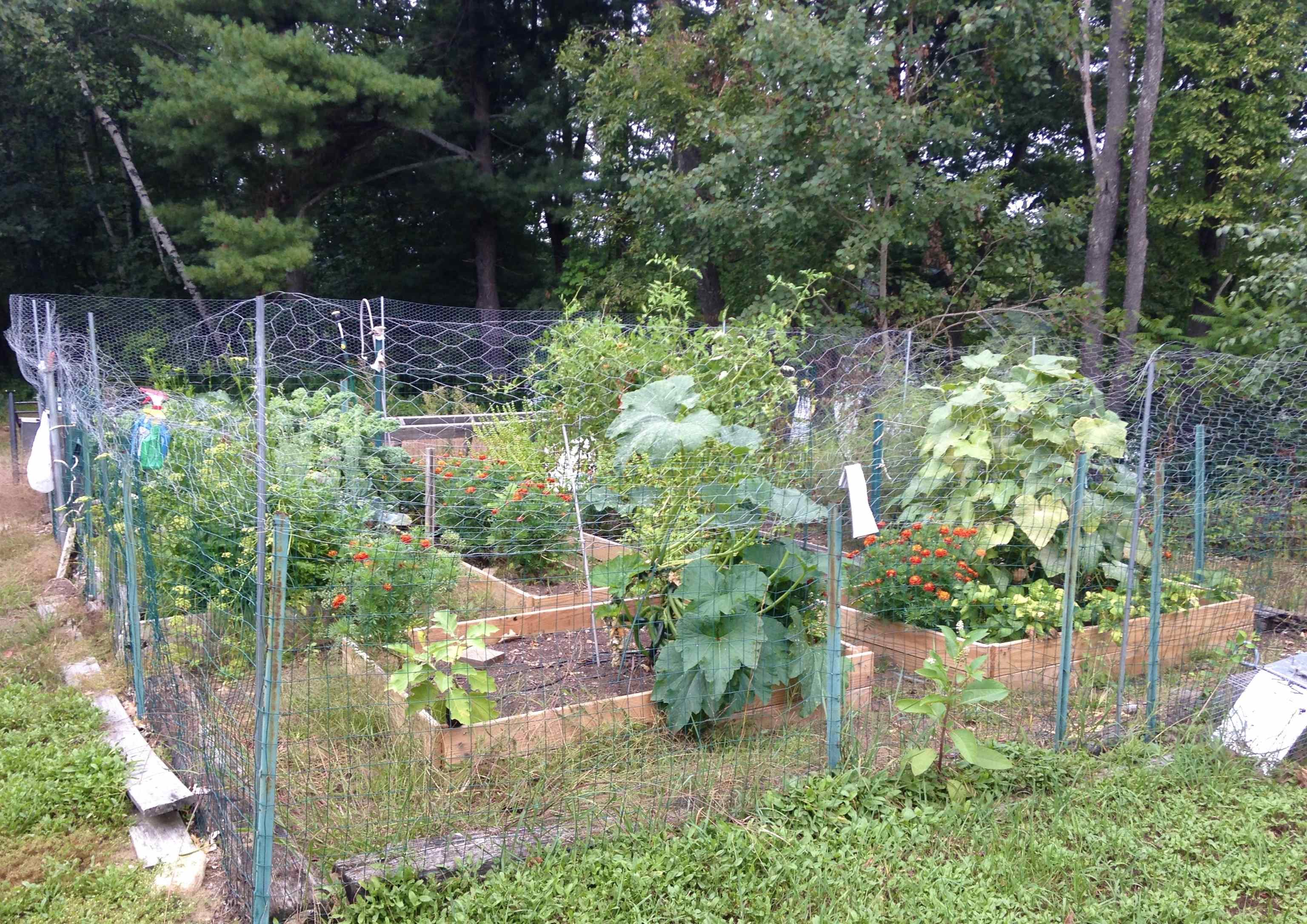 13 Ferry Road Bow, NH 03304 - Photo 48 of 62