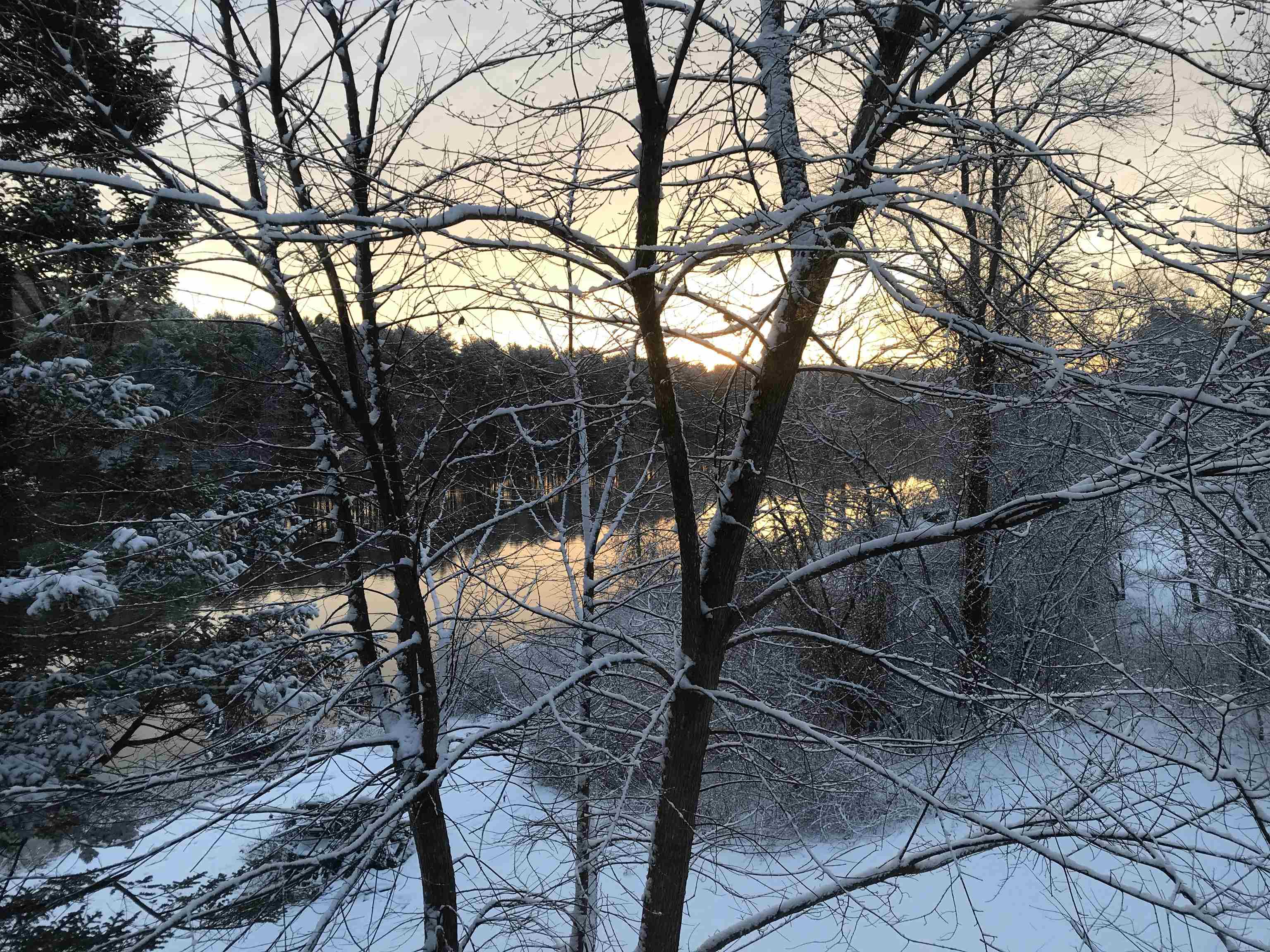 13 Ferry Road Bow, NH 03304 - Photo 52 of 62