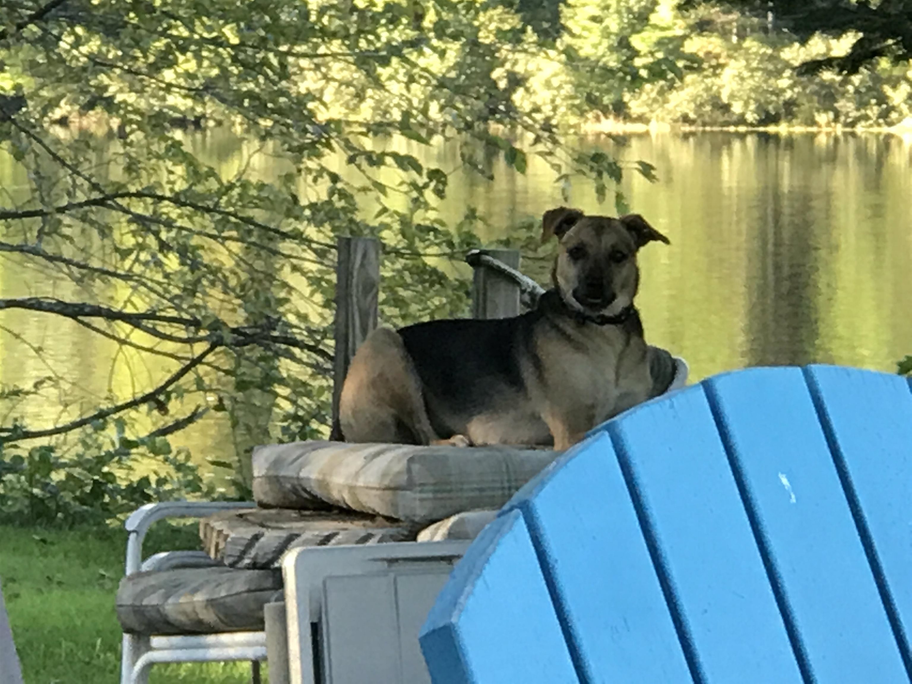 13 Ferry Road Bow, NH 03304 - Photo 54 of 62