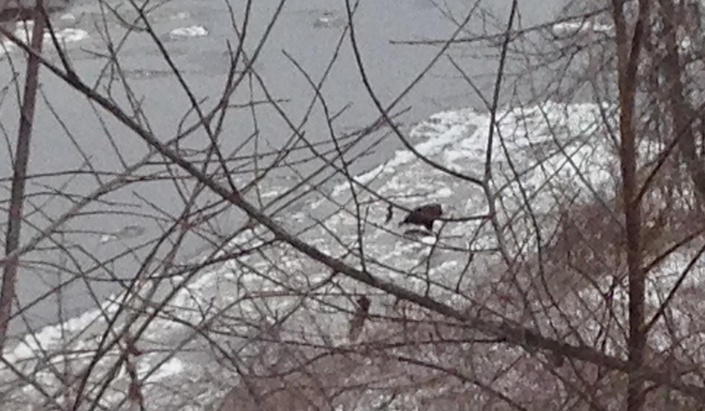 13 Ferry Road Bow, NH 03304 - Photo 56 of 62