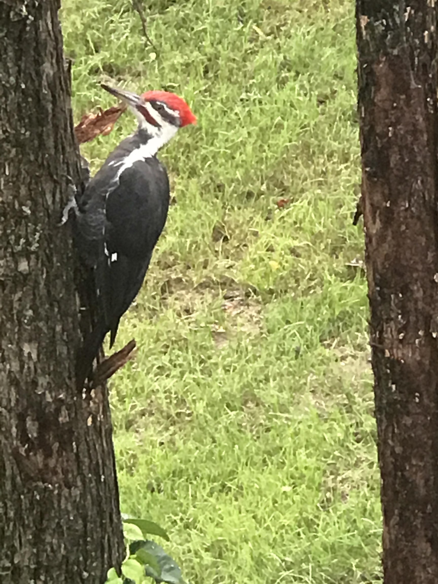 13 Ferry Road Bow, NH 03304 - Photo 57 of 62