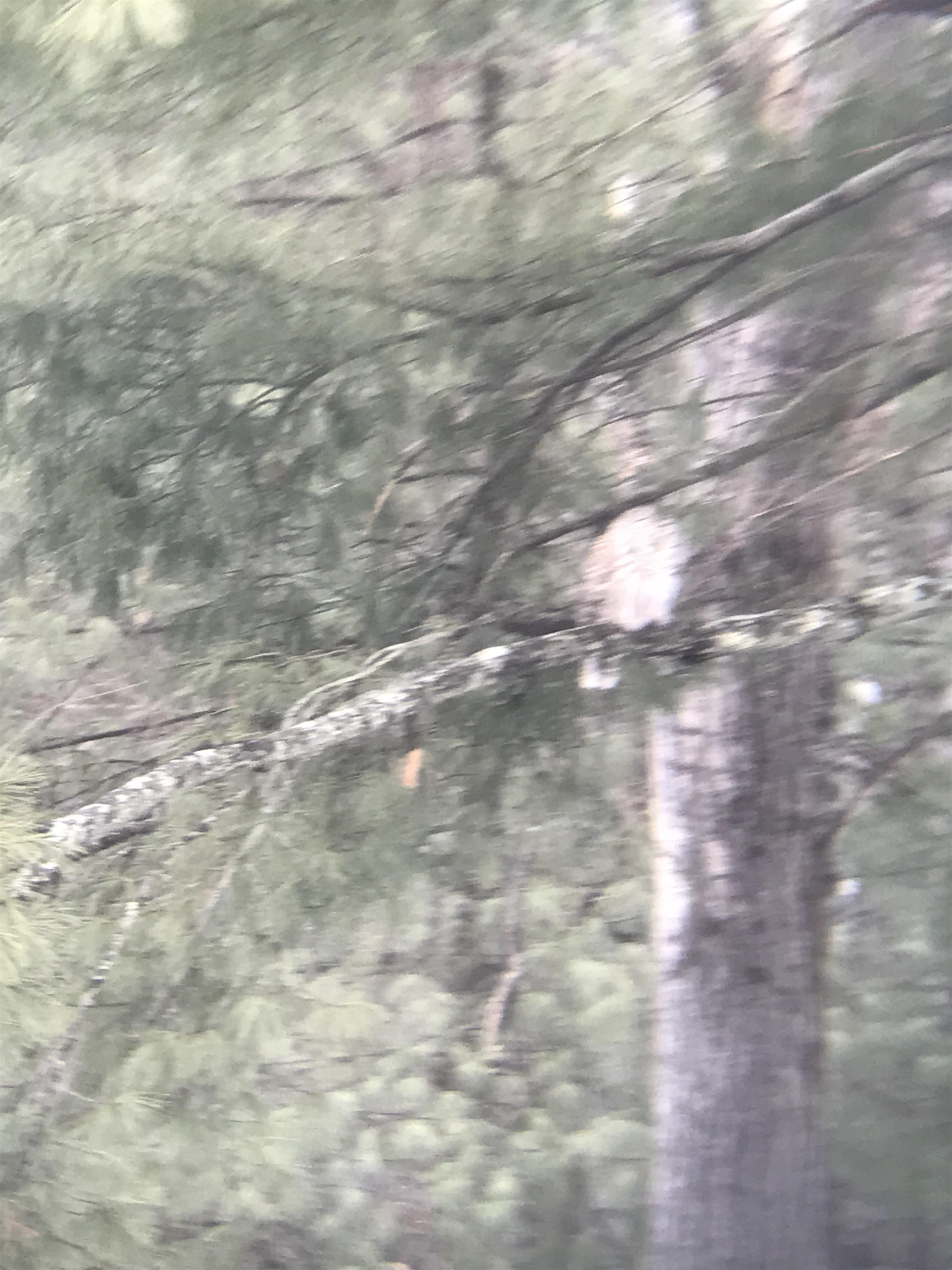 13 Ferry Road Bow, NH 03304 - Photo 58 of 62