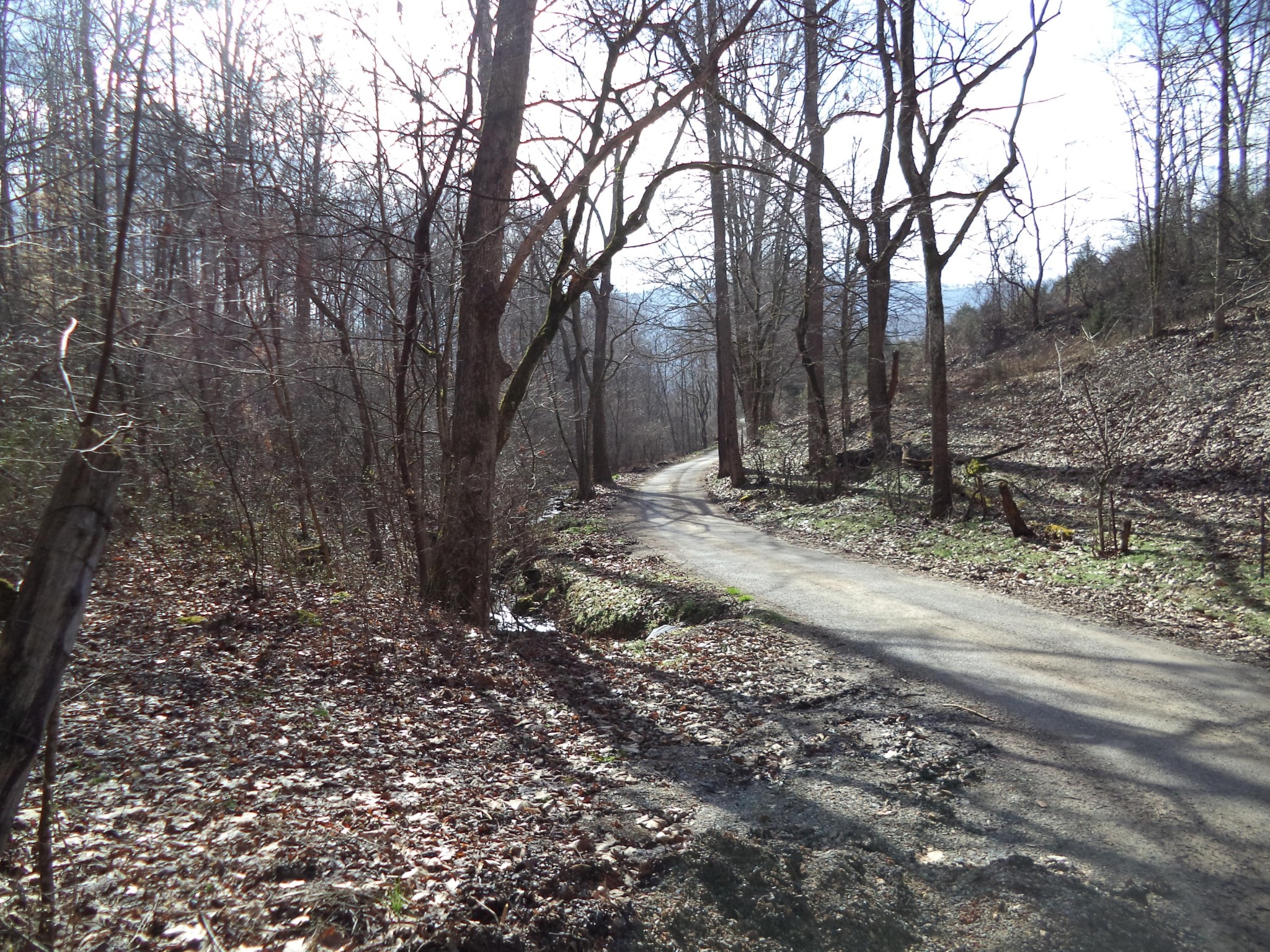 0 Jane Dyer Road Luttrell, TN 37779 - Photo 3 of 8