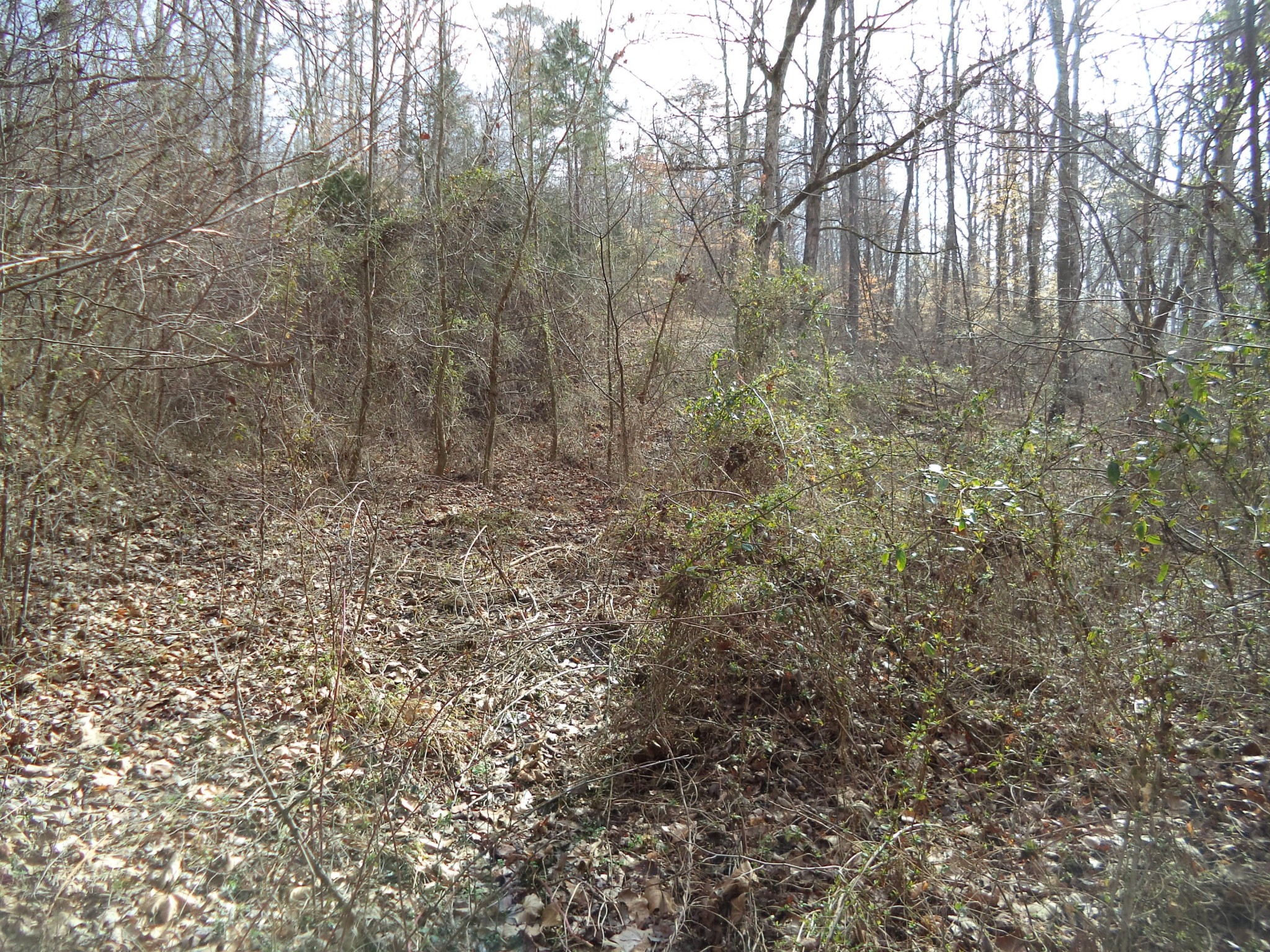 0 Jane Dyer Road Luttrell, TN 37779 - Photo 5 of 8