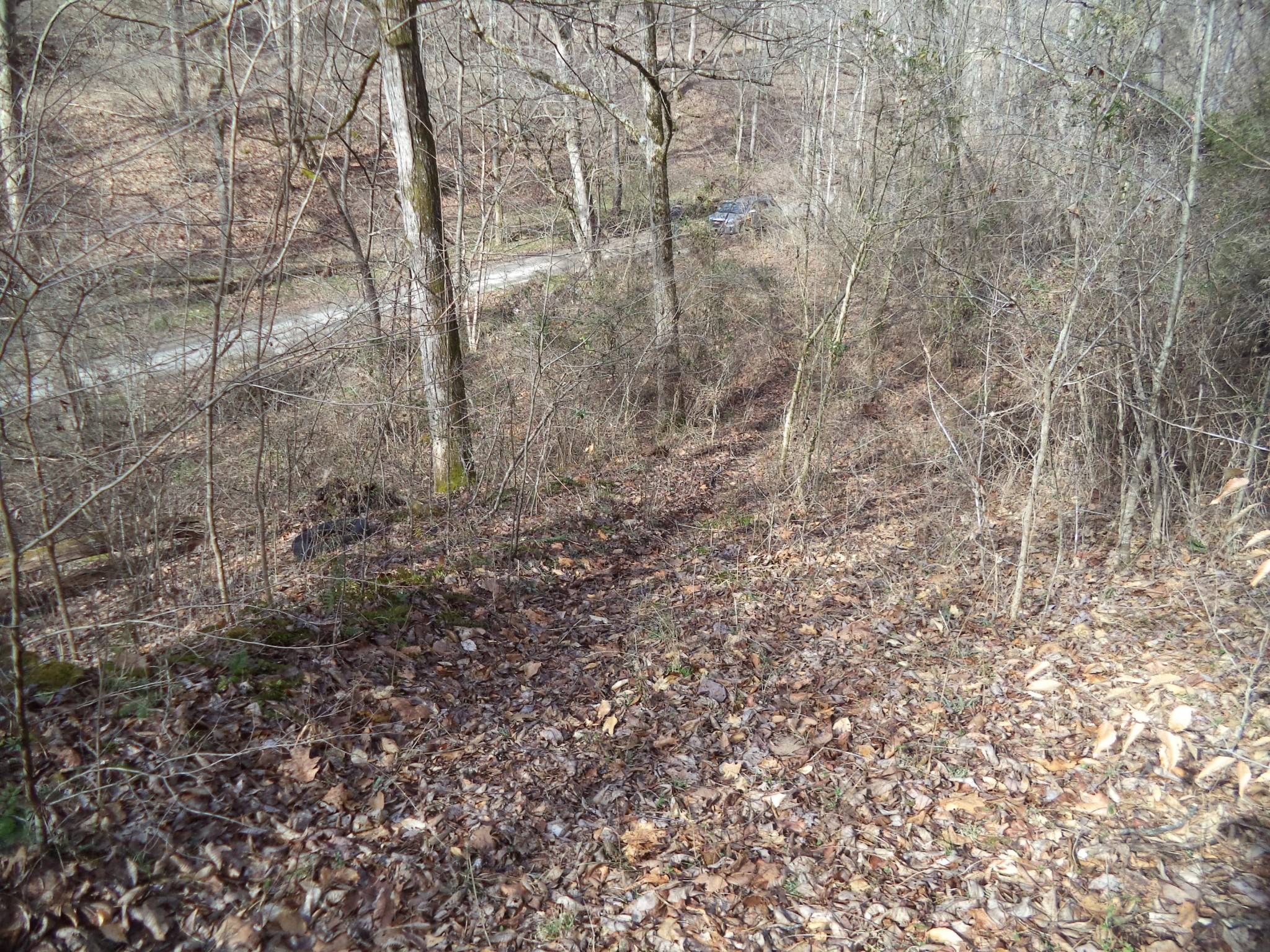 0 Jane Dyer Road Luttrell, TN 37779 - Photo 6 of 8