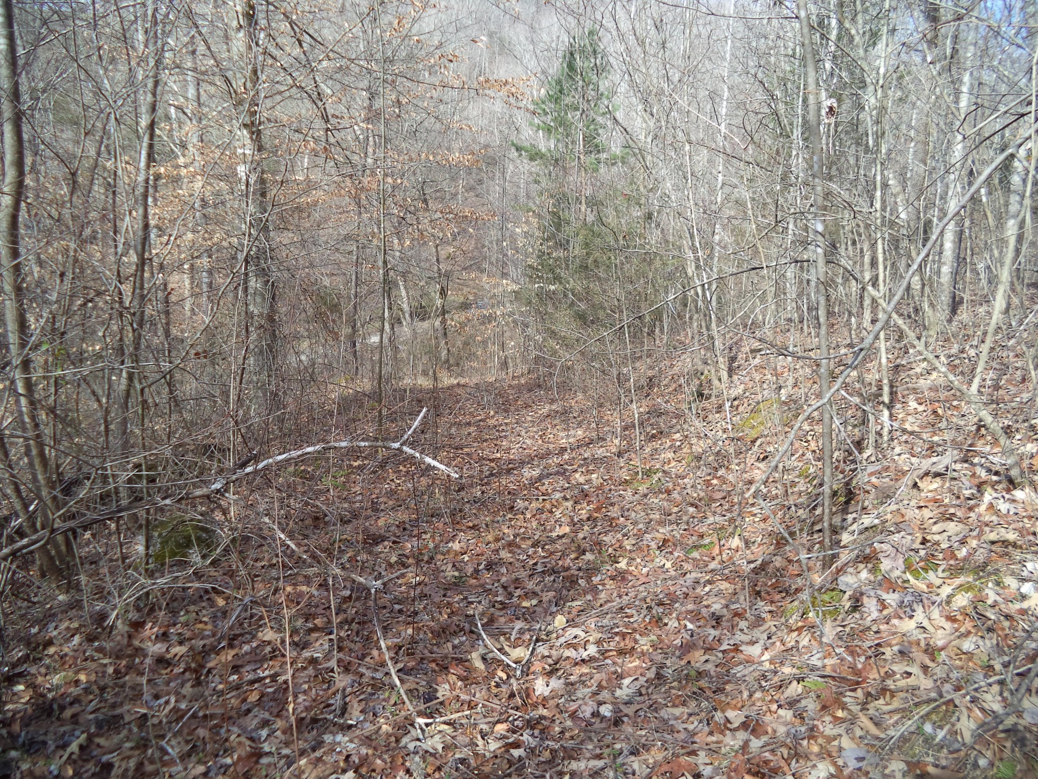 0 Jane Dyer Road Luttrell, TN 37779 - Photo 7 of 8