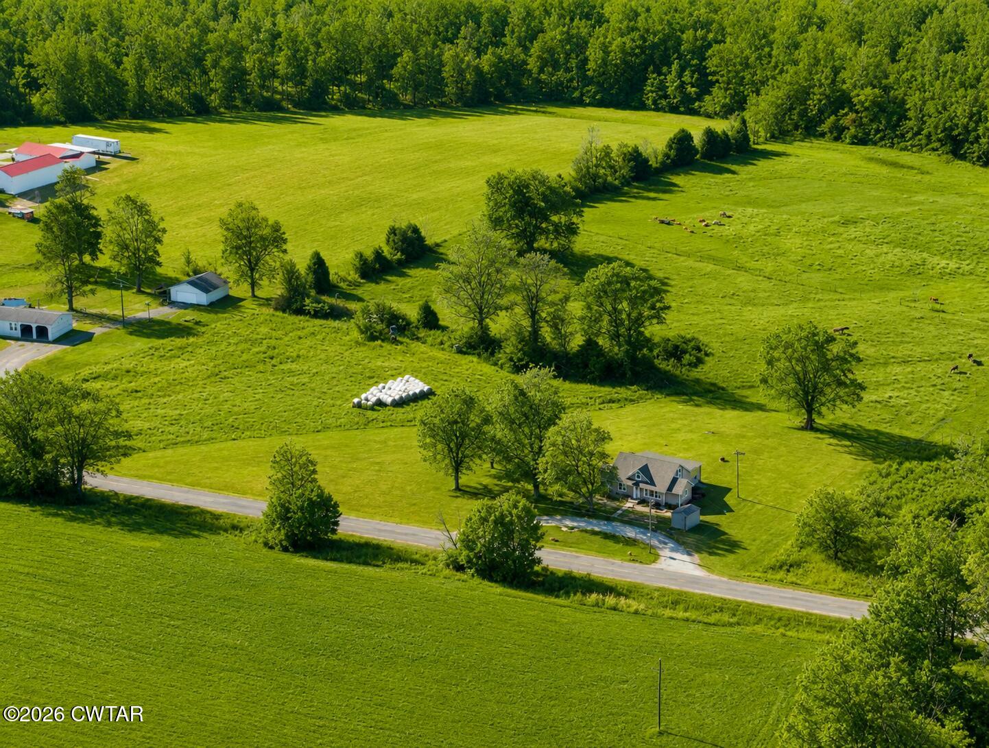 388 New Flanagan Road Lexington, TN 38351 - Photo 2 of 18 Aerial View