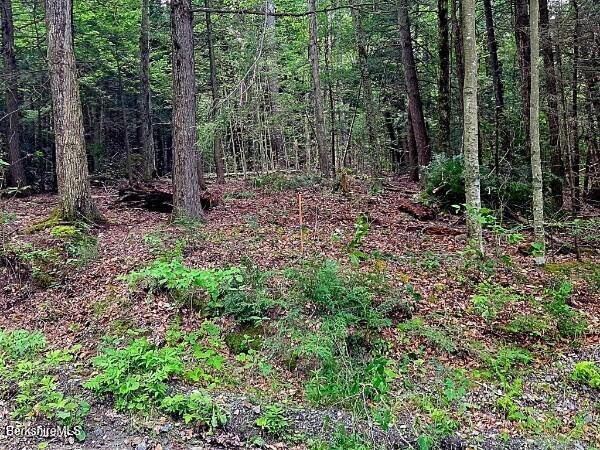0 Moberg Road Becket, MA 01223 - Photo 6 of 12 Lot 88 Entrance.heic