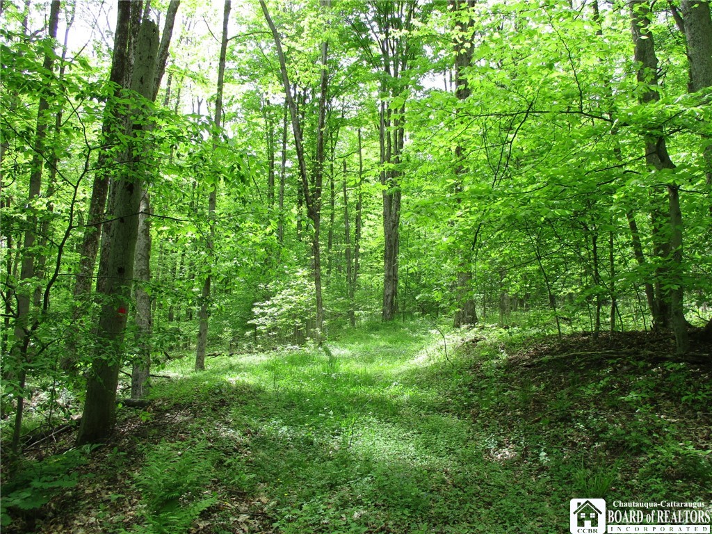 Yankee Road Cuba, NY 14727 - Photo 25 of 31