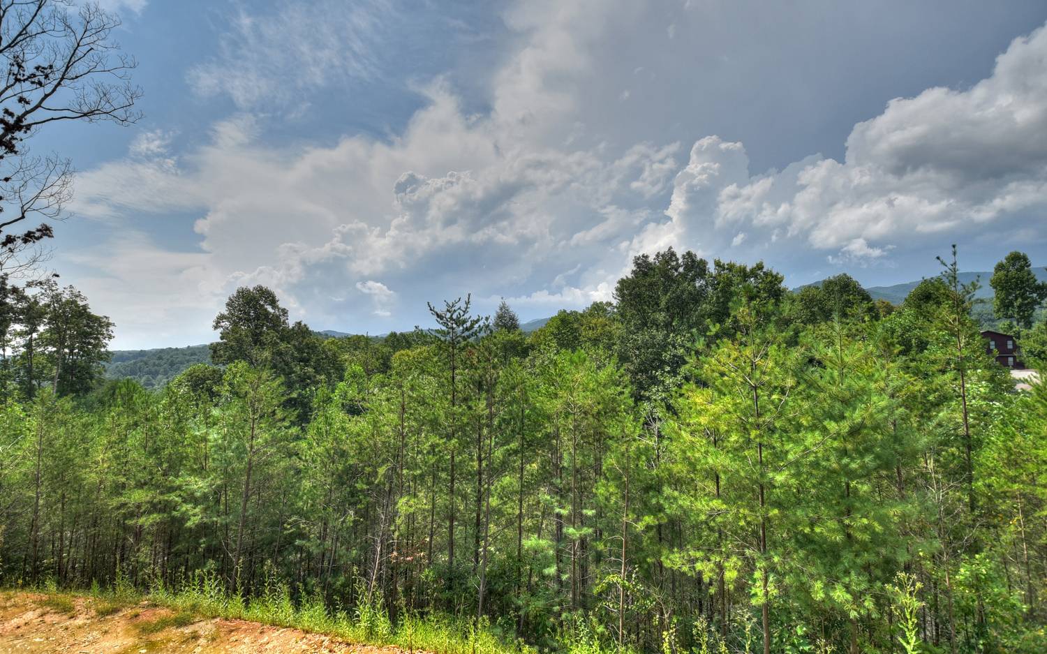 1079 Settler's Ridge Road Ellijay, GA 30540 - Photo 17 of 20 Additional View