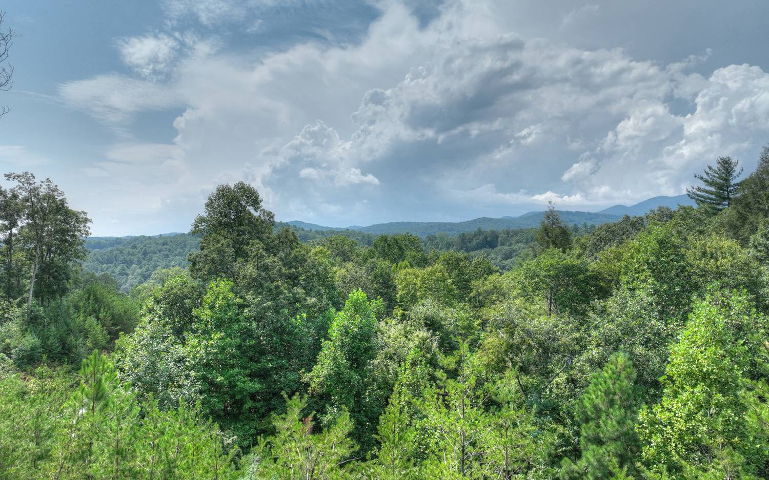 1079 Settler's Ridge Road Ellijay, GA 30540 - Photo 4 of 20 Additional View