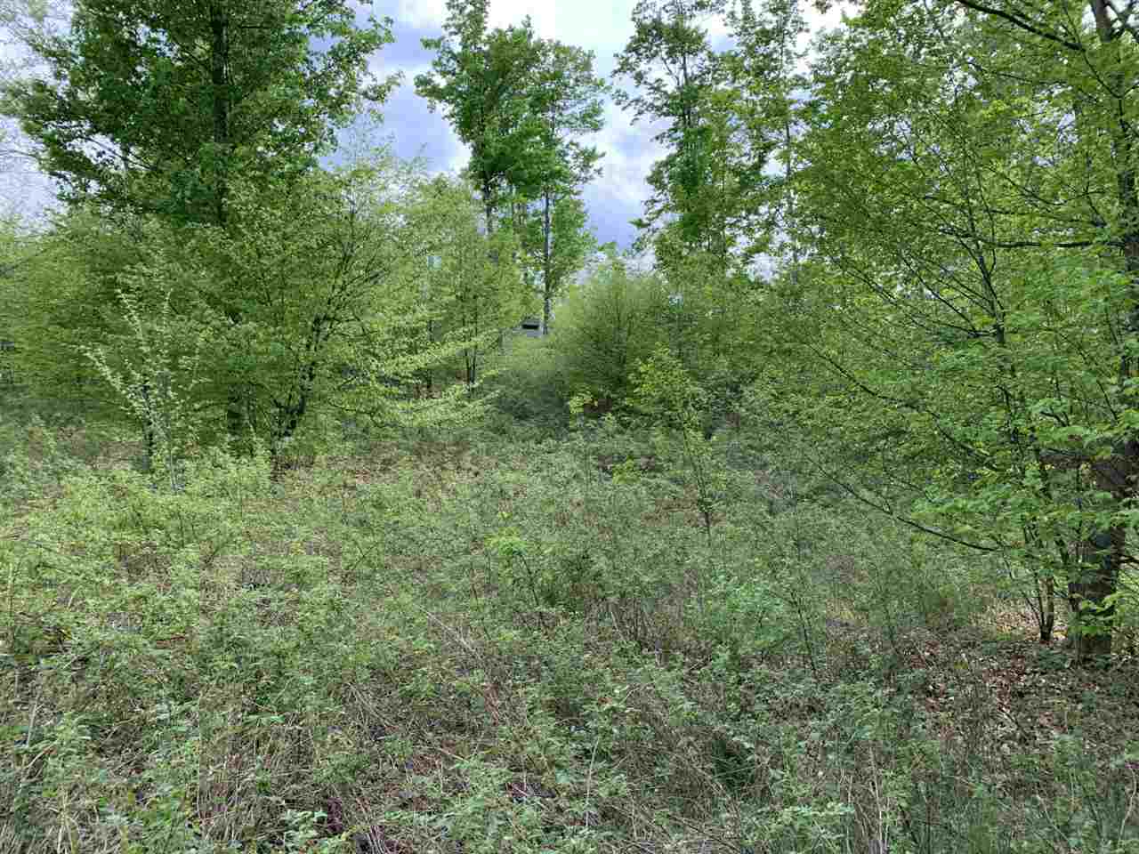 40 South 17 Road Boon, MI 49618 - Photo 22 of 33