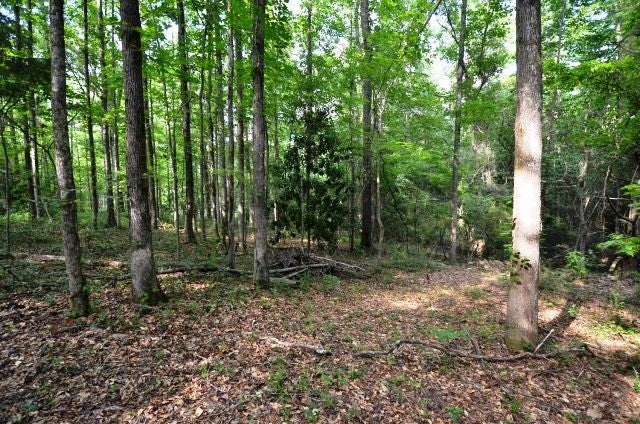 0 Deer Run Road Auburn, AL 36832 - Photo 5 of 9 Gallery Image 5