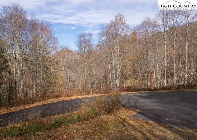 $84,000 | Tbd Lot 20 Tbd Lane, Todd, NC 28684