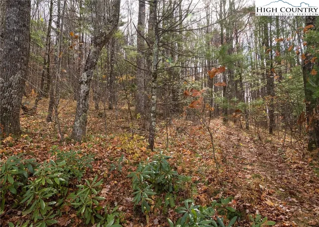 $84,000 | Tbd Lot 20 Tbd Lane, Todd, NC 28684