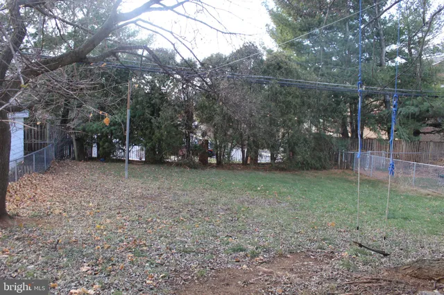 a view of a yard with a tiny play house