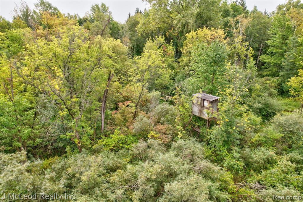 2581 Brown Road Millington, MI 48746 - Photo 41 of 48